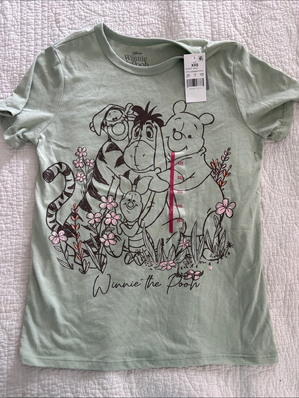 Disney Winnie the Pooh Women’s Mint Green Graphic Tee